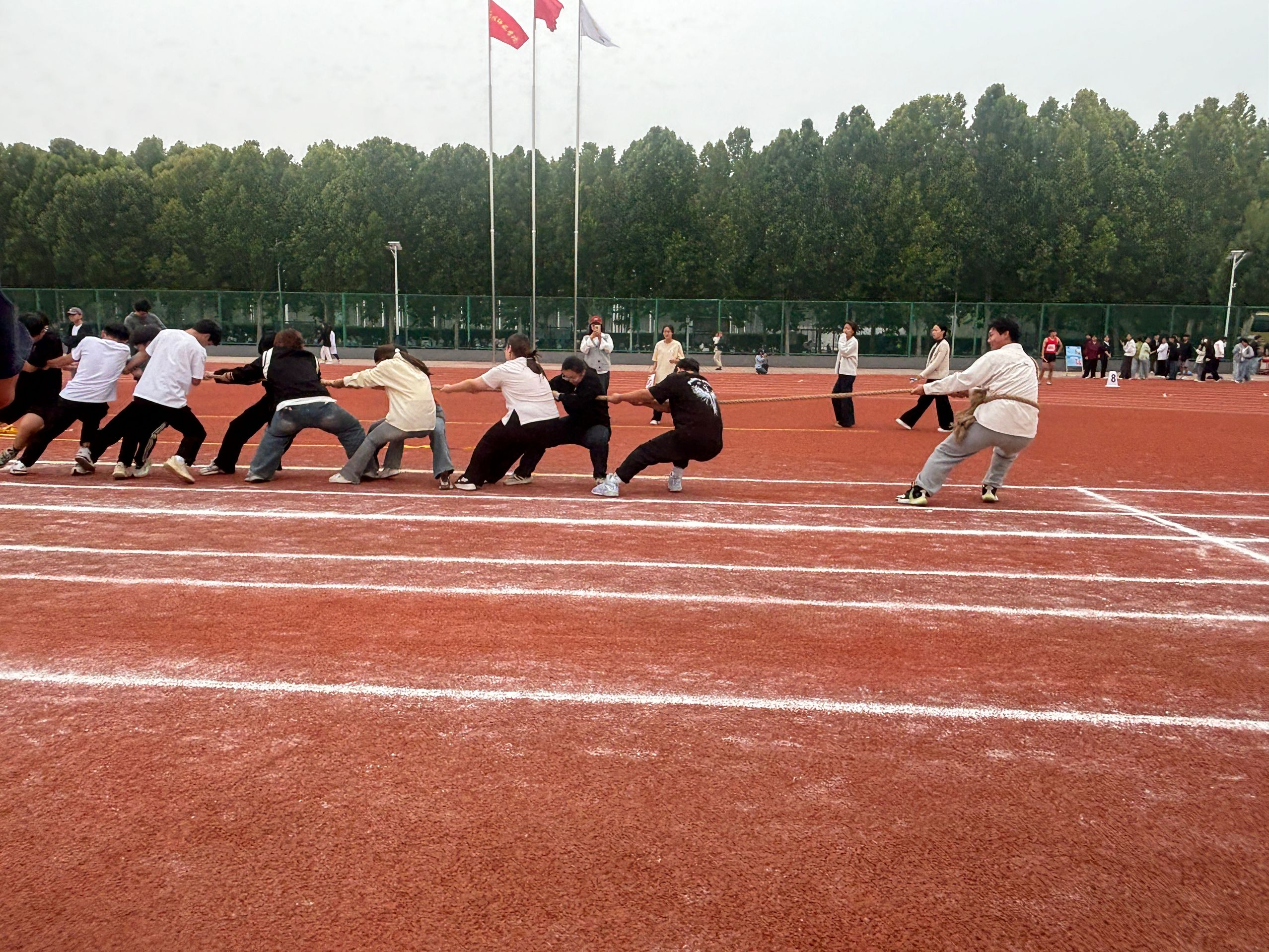 图片13.png 图片13.png