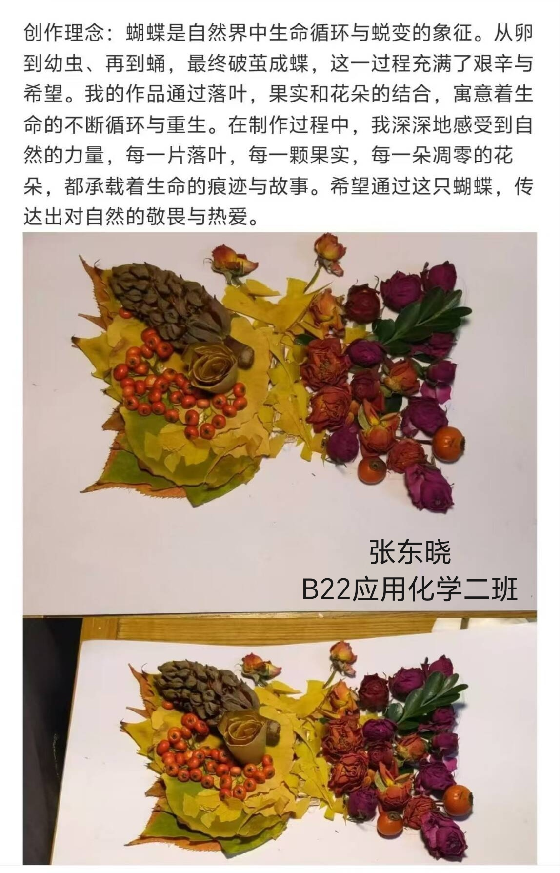 图片4.png 图片4.png