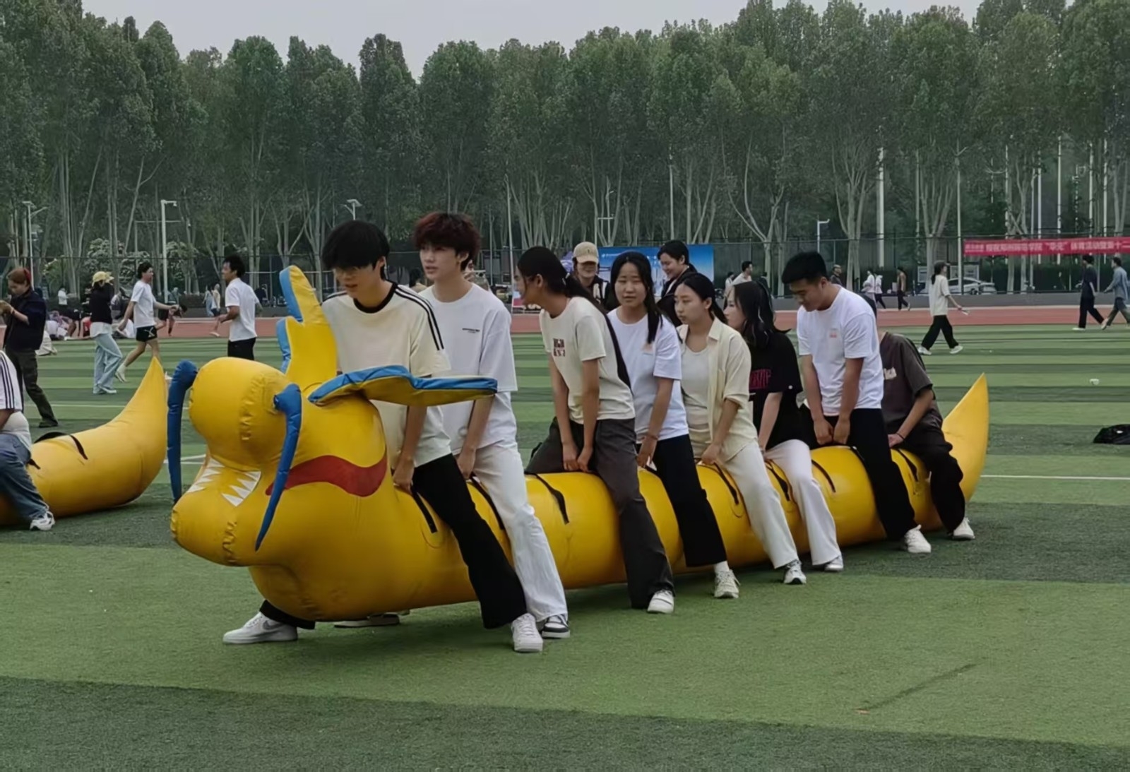 29.jpg